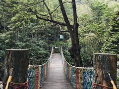 -宁波五龙潭景区