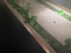 -新紫霞养生·影院足道·SPA(金山区店)