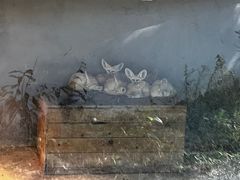 -杭州少年儿童公园