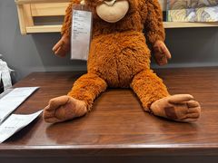 -宜家家居(四元桥商场店)