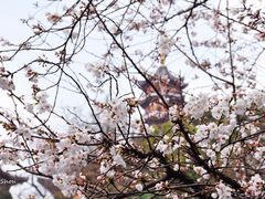 -鸡鸣寺