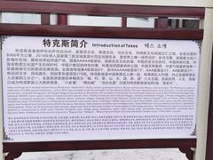 -特克斯八卦城