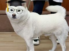 -宠福鑫动物医院(城北分院)