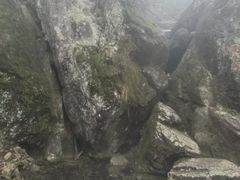 -天目山大树王景区