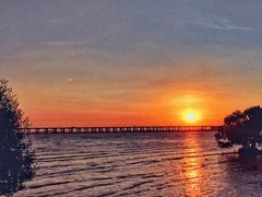 -宝安西湾红树林湿地公园