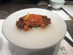 -觀芷隐轩