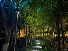 -水濂山森林公园