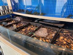 -星伦多自助料理·涮烤一体(杭州来福士店)