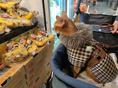 -Olé精品超市(北京合生汇店)