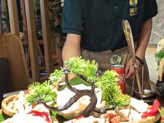 -菌彩云南野生菌火锅(万达广场店)