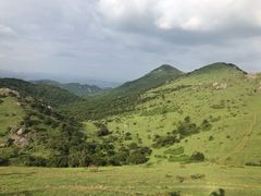 -大姆山草场