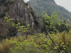 -楠溪江石桅岩