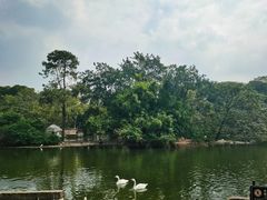 -南宁市动物园