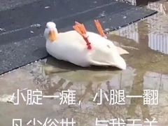 -新发展亚太JW万豪酒店·福苑咖啡厅