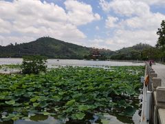 -顺峰山公园