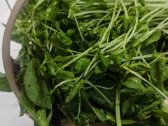-王奋斗贵州酸汤牛肉火锅