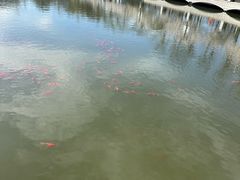 -大连植物园