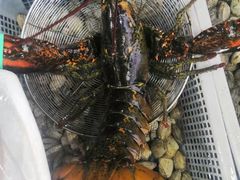 -富港会·海鲜酒楼(墟沟店)