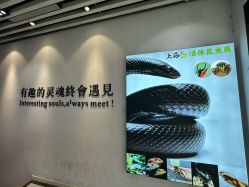 点击看大图 -神奇动物撸宠馆·羊驼·小浣熊·异宠(豫园店)