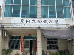 -老袁家蜜桃农场·阳山水蜜桃