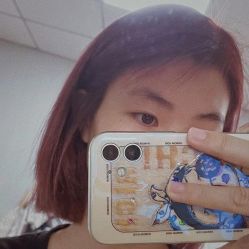 -IDOL-PLUS