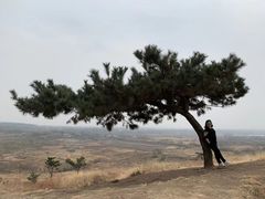 -恋山坝上草原