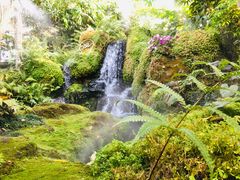 -Chom Cafe and Restaurant