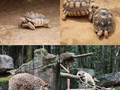 -杭州野生动物世界