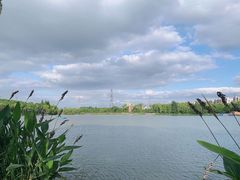 -昆山城市生态森林公园