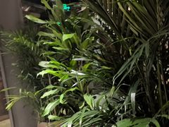 -丹江渔村(首都机场店)