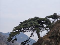 -泰山风景名胜区