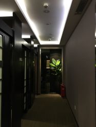 -史云逊养发中心