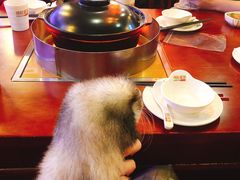 -捞旺猪肚鸡(街道口店)