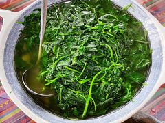 -绿草墩
