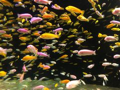 -成都浩海立方海洋公园