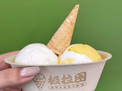 -极拉图·现制冰淇淋(大卫城店)