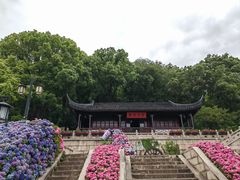 -苏州上方山国家森林公园
