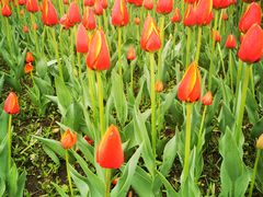 -长春公园(普阳街道)