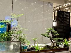 -谭厨中山传家菜.乳鸽.脆鲩鱼(华强北中航城店)
