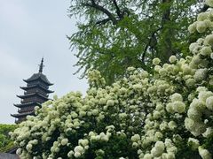 -常熟方塔园
