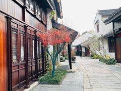 -巡塘古镇