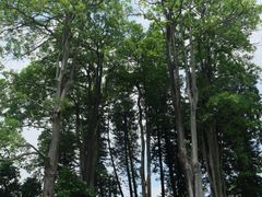 -四海公园(南山区)