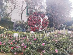 -人民公园(罗湖区)