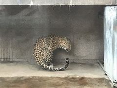 -西安秦岭野生动物园