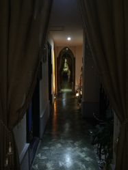 -蕾蕾美颜美容美体