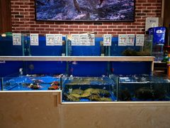 水产区-姜君·千岛湖鱼头馆(浦东大道店)