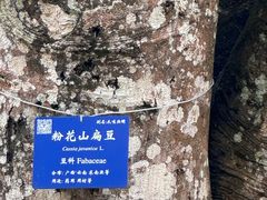 -中国科学院西双版纳热带植物园