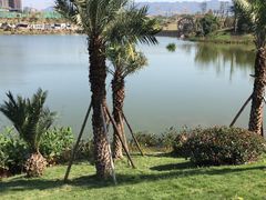 -枫香湖儿童公园