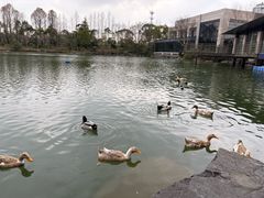 -上海怡沁园度假酒店