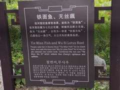 -包公祠
